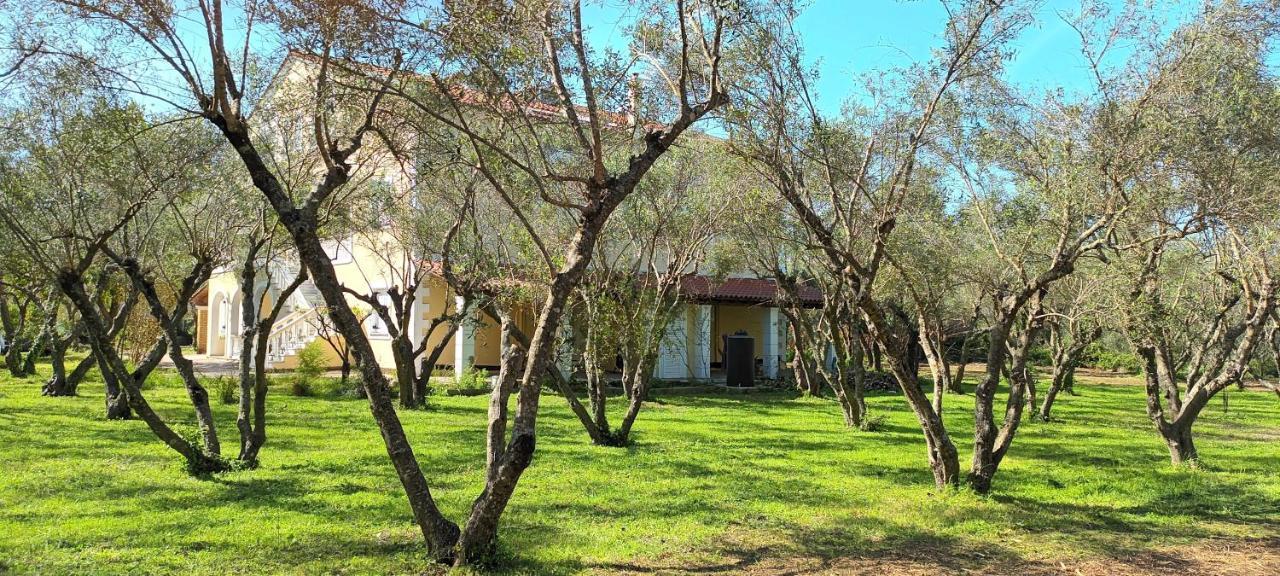 Antonios Olive Garden Acharavi Kerkyra * Acharavi (Corfu)