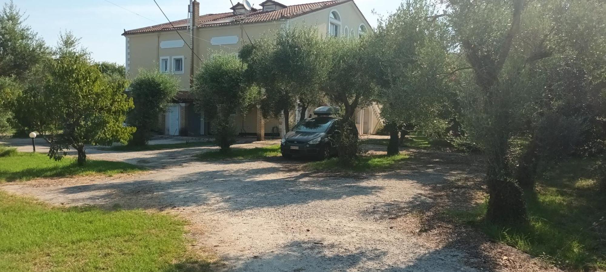 Antonios Olive Garden Acharavi Kerkyra * Acharavi (Corfu)